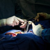 Telegram profile photo for Surgery( notes)