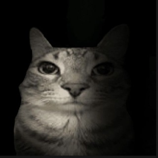 Telegram profile photo for кто сюда мемы постит