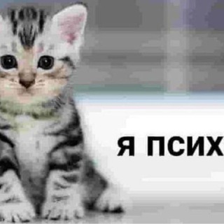 Telegram profile photo for вилка