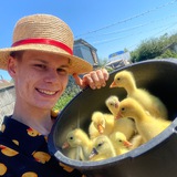 Telegram profile photo for Кирилл | Молодой ФЕРМЕР 👨🌾