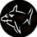 Telegram profile photo for Black Shark ceramic - керамика🦈