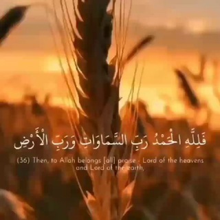 Telegram profile photo for قنات حالات واتساب دينيه