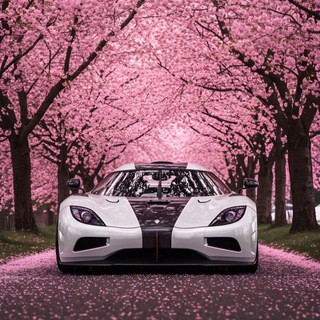 Telegram profile photo for StarMelt | Chat
