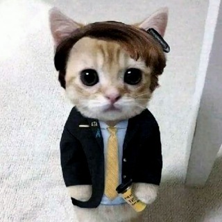 Telegram profile photo for ربات فاحشه عکس گیف داستان فیلم سوپر پورن سکسی وطنی جنده خاله الکسیس سکس زناشویی جنسی رقص ایرانی لختی کانال عموجانی گروه رونالدو