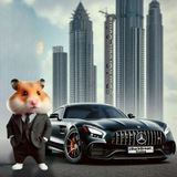 Telegram profile photo for Казино брата