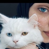 Telegram profile photo for 𝗡𝗮𝗙𝗦⋆ ⋅ ୨ৎ
