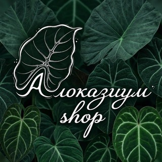 Telegram profile photo for АлокаShop