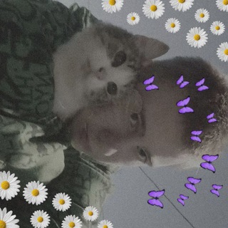 Telegram profile photo for даня лол.