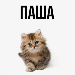 Telegram profile photo for Астарот #ОЕбаРендалл