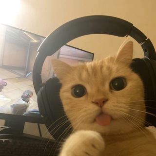 Telegram profile photo for 小航的批发市场