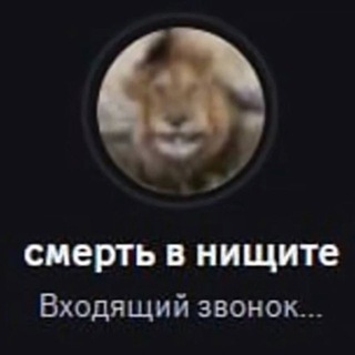 Telegram profile photo for хзззз