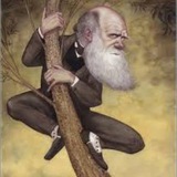 Telegram profile photo for СлёзыДарвина