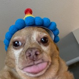 Telegram profile photo for Ктокотми на летнем