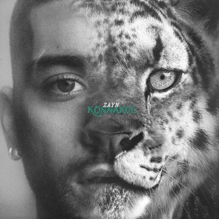 Telegram profile photo for Zayn Malik | The Konnakol Tour