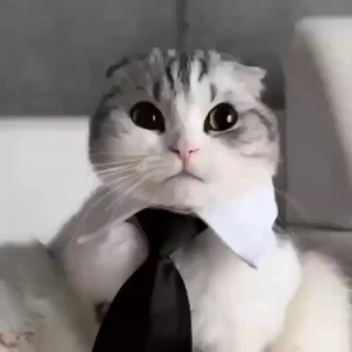 Telegram profile photo for 💎 Diamond Drops