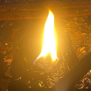 Telegram profile photo for Отзывы от евки