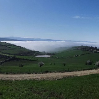 Telegram profile photo for روستای پجیم