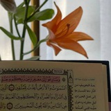 Telegram profile photo for طُمَأْنِينَةُ بَسْمَلَة🌱