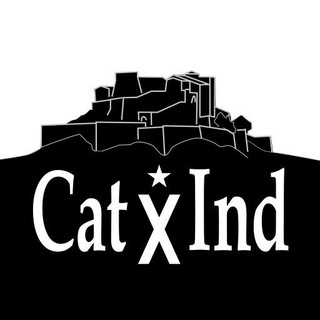 Telegram profile photo for Catalans X la Independència