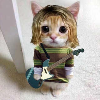 Telegram group profile photo for TIKTOK PREMIUM/HACK nkasu07