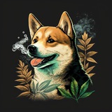 Telegram profile photo for GanjaShiba