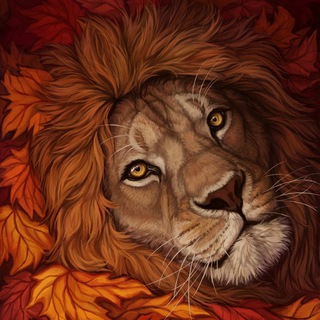 Telegram profile photo for Lions Lions Lions