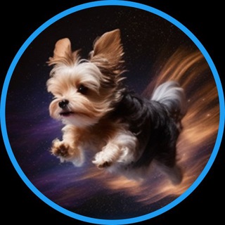 Telegram group profile photo for YORKIE DOGE-Backed by Elon