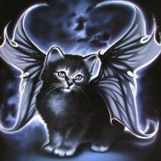 Telegram profile photo for ℳ