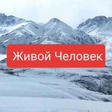 Telegram profile photo for Живой Мужчина