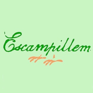 Telegram profile photo for Escampillem