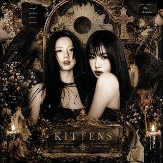 Telegram profile photo for KITTENS | 키튼 💌. . .