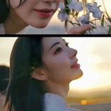 Telegram profile photo for Miyawaki