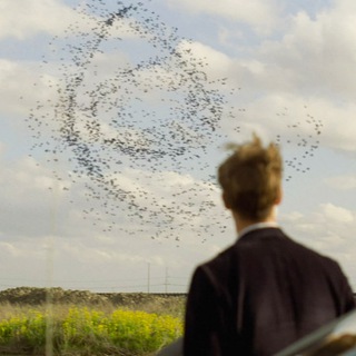 Telegram profile photo for countryside theatre company