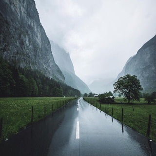 Telegram profile photo for Nature Travel