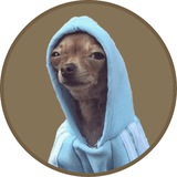 Telegram profile photo for HOODOG - Portal