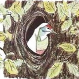 Telegram profile photo for Куклухай