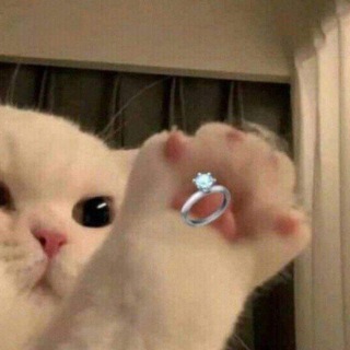 Telegram profile photo for Продаю