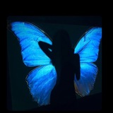 Telegram profile photo for پـروانـه آبـی