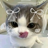 Telegram profile photo for My delusion