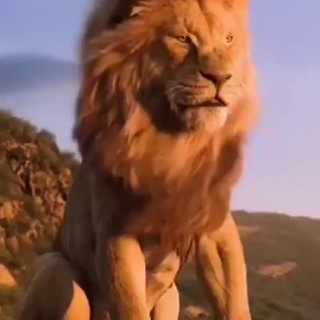 Telegram profile photo for OUR ROARING LION 🍊OF JUDAH MAN AFTER GOD'S OWN HEART PRESIDENT TRUMP