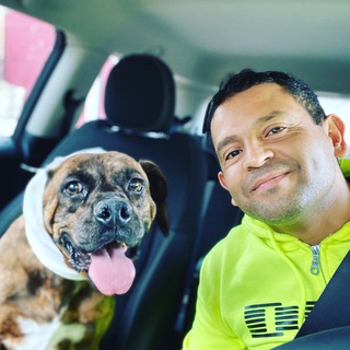 Telegram profile photo for Gerardo Amaro
