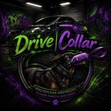 Telegram profile photo for Drive|Collar