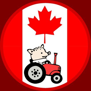 Telegram profile photo for Канада как надо - CANADAKAKNADO.INFO