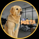 Telegram profile photo for Ethereum Dog $MIETA