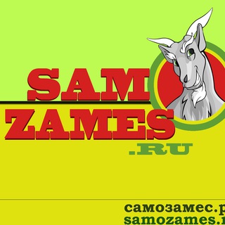 Telegram profile photo for SAMOZAMES.ru