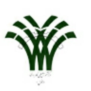 Telegram profile photo for دزفول1