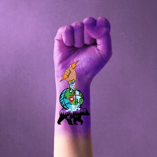 Telegram profile photo for FactsTelegramFreaks : Important topics analysed with a scientific approach and facts - Knowledge is the new gold, not bullshit!