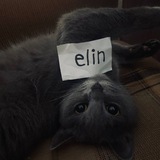 Telegram profile photo for elin