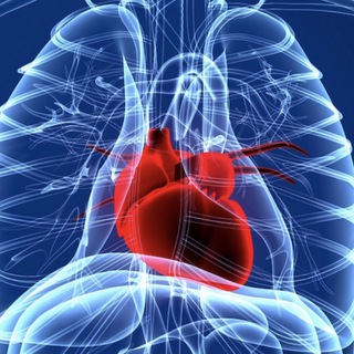 Telegram profile photo for (Cardiothoracic) Anaesthesia and ICU (cardiac)