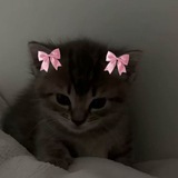 Telegram profile photo for ^_^уютная комнатка ^_^